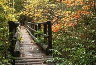 Appalachian Trail Desktop Background Screensavers