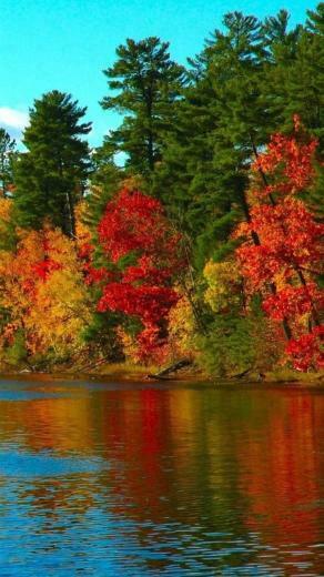 Nature Moto G Wallpaper HD Motorola
