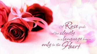 Beautiful Roses And Cup Wallpaper Desktop High