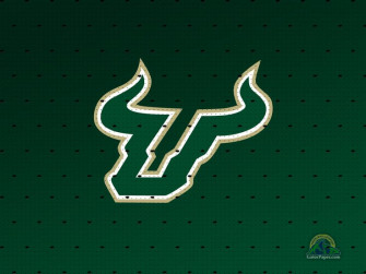 University Of South Carolina Logo On Green Background Wallpaper