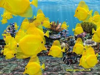 Moving Fish Tank Screensaver With 3d Yellow Tang