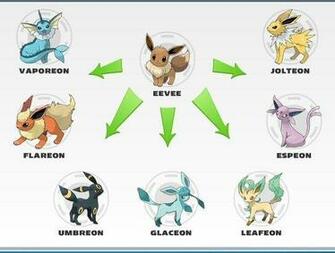 Eevee Evolutions Charts Jpg