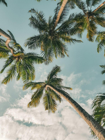 Summer Aesthetic Pictures Image