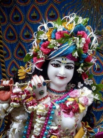 Jai Shree Krishna Radha Wallpaper