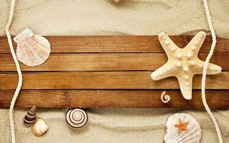 Beach Sand With Shells HD Wallpaper Background Image