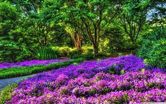 Top Spring Garden HD Widescreen Wallpaper