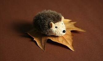 Hedgehog X Wallpaper For The Eee Pc
