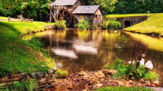 Farm Animals Wallpaper