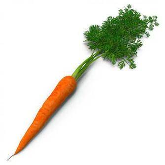 Carrot Fruit Vegetable Pictures