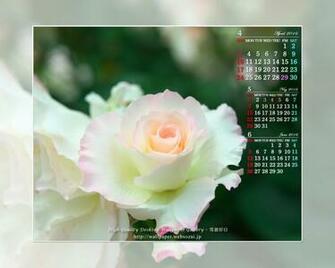 Wxga Wide Screen