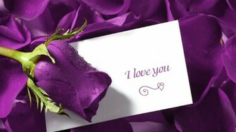 HD Wallpaper Cute Love Quotes 4u