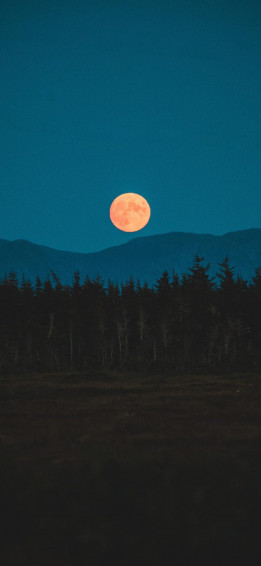 Best HD Moon Phone Wallpaper