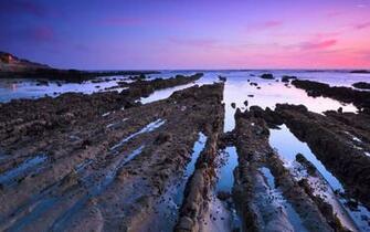 Mud Trails Towards The Ocean Wallpaper Beach