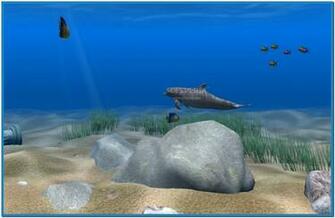 Related Pictures 3d Dolphins The Sunlight Shimmers Through Water