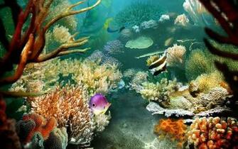 Tropical Fish Live Wallpaper Screenshot