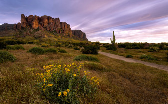 Desktop Wallpaper Usa Arizona Rock Spring Nature Grass