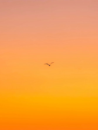 Orange Desktop Wallpaper