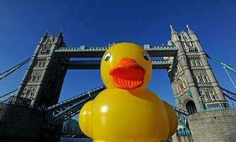 Giant Rubber Duck Thrills London In Pictures Uk News The