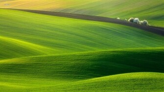 Land Green Computer Wallpaper HD