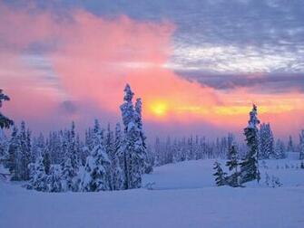 Winter Sunset