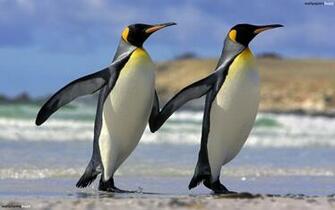 Loving Couple HD Wallpaper