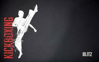 Blitz Kickboxing Wallpaper X Martial Arts