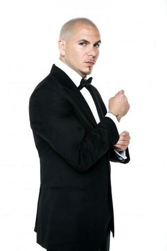 Pitbull Rapper HD Wallpaper