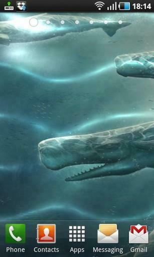 Bigger Shark Attack Live Wallpaper For Android Screenshot