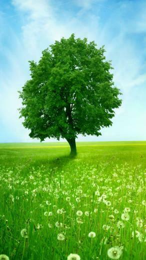 Dreamland Summer iPhone Wallpaper HD Source