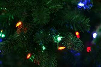 Holiday Christmas Lights Wallpaper