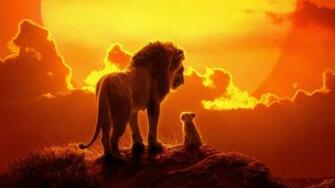 The Lion King HD Wallpaper Background Image