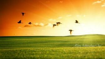 Indian Flag HD Image Wallpaper