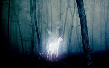 The Silver Doe Severus Snape Wallpaper