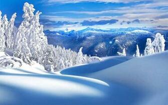 Winter Beautiful Rime Scenery Wallpaper Landscape