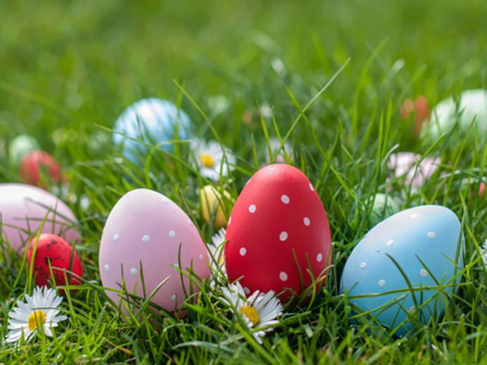 Easter Egg Hunts In Hawai I Honolulu Family