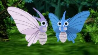 Venomoth Widescreen