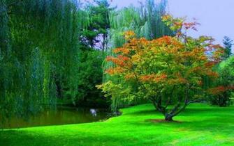 World Best HD Widescreen Wallpaper Itsmyideas