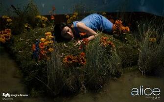 Alice Syfy Wallpaper