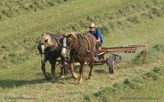 Working In The Fields X