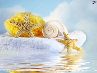 Seashells Wallpaper