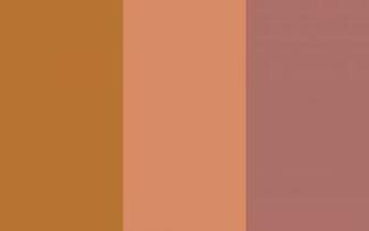 Copper Crayola And Penny Solid Three Color Background