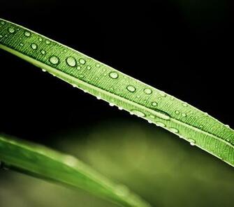 QHD Nature Wallpaper Htc Background