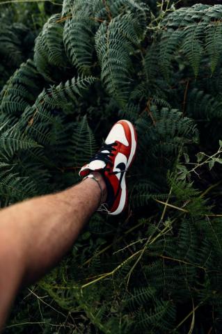 Nike Dunk Pictures Image