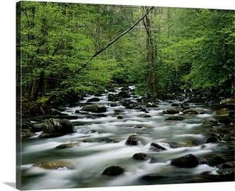 Map Of Greenbrier Picnic Area Great Smoky Mountains National Park HD
