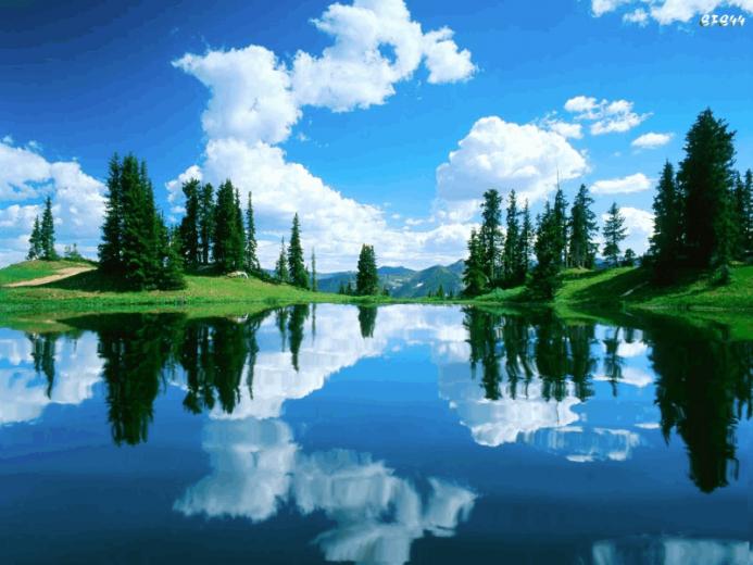 Nature Gifs Gif