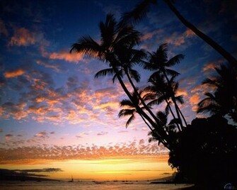 Wallpaper Hawaii Sunset