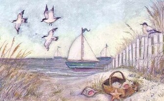 Seashells Wallpaper Border
