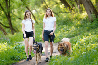 Two Teenage Girls Walking With Her Dogs In Park Wallpaper