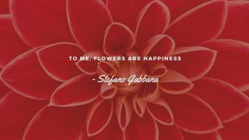 Orange Flower Desktop Wallpaper Templates By
