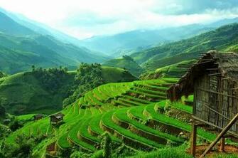 Beautiful Terraced Fields In Vietnam Most Places The